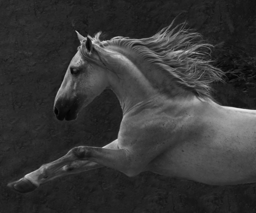 Riding school