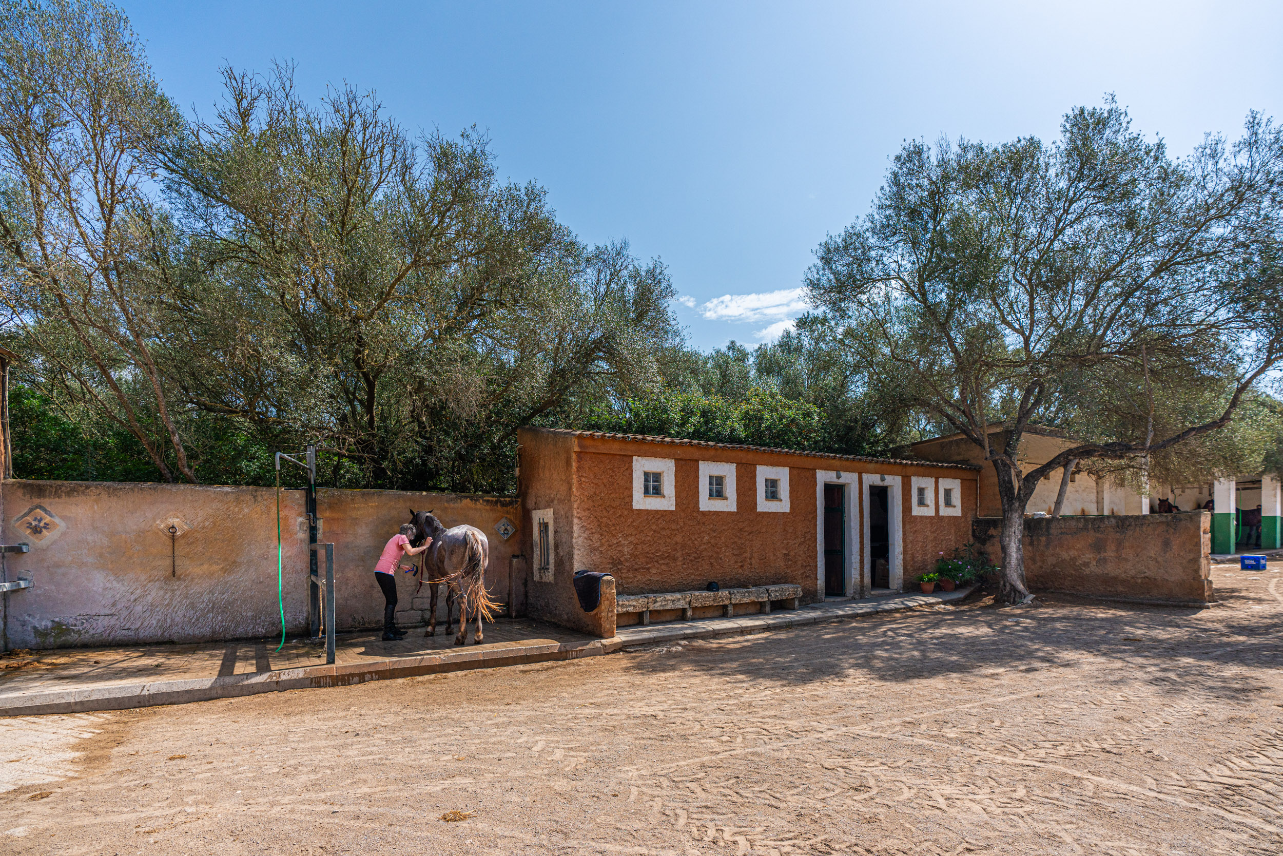 Escuela de equitación