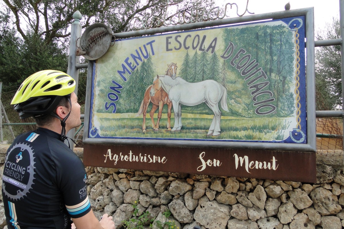 Alquiler de bicicletas
