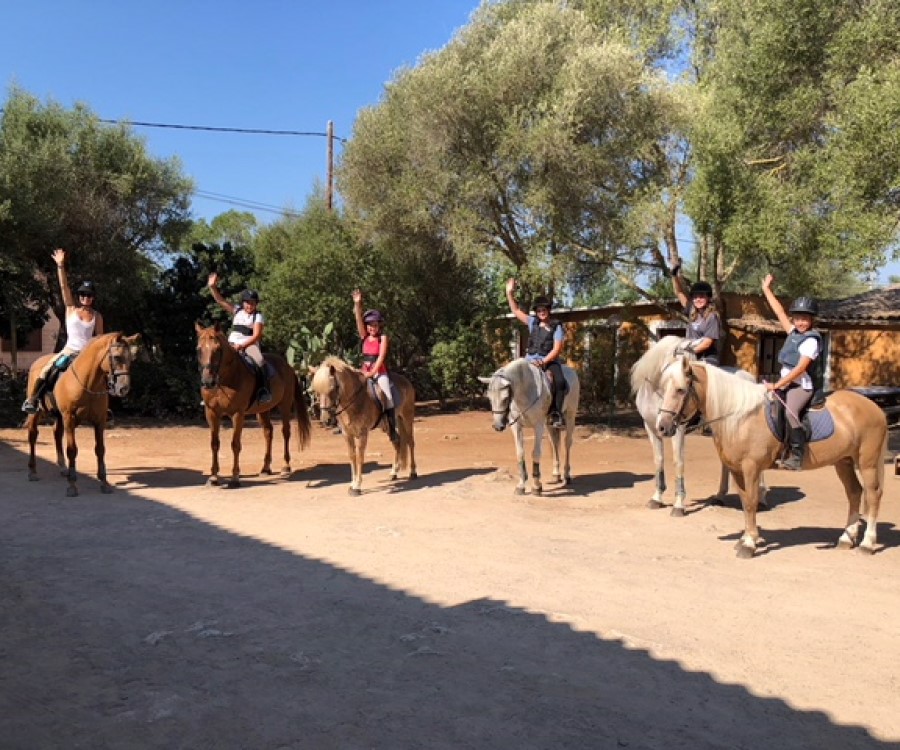 Riding school