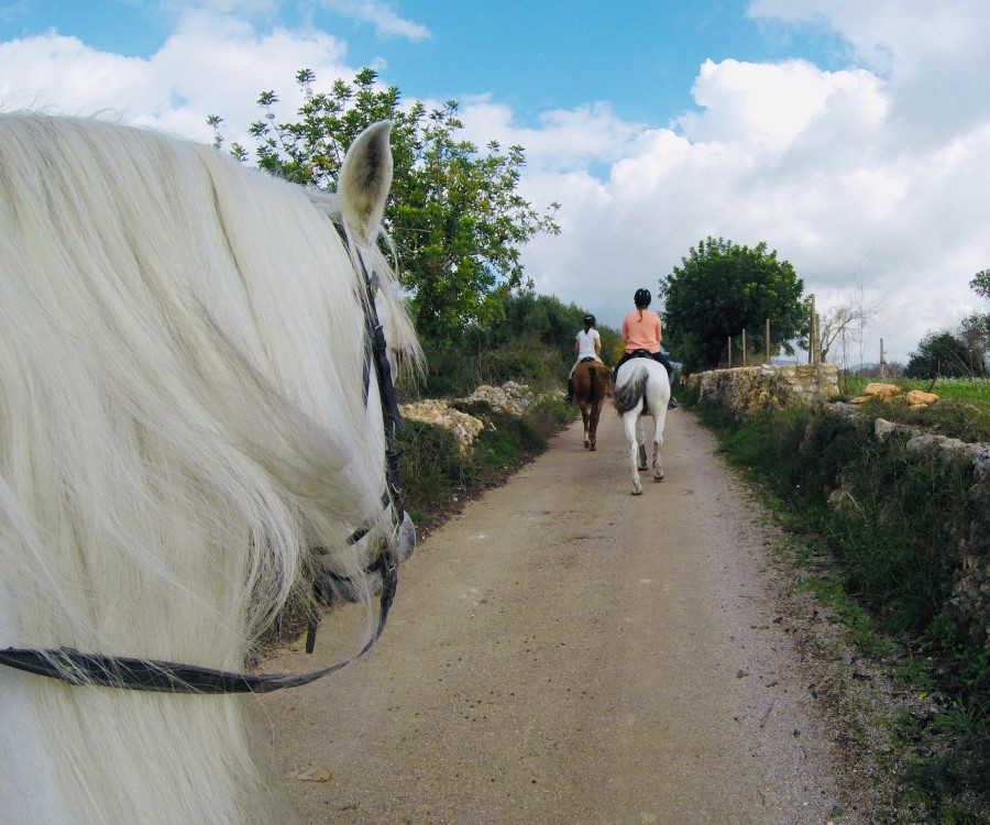 Riding school