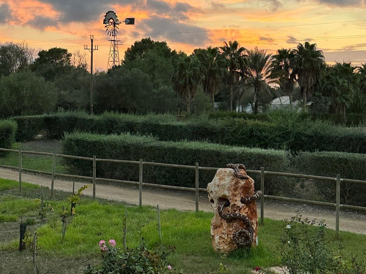 Daypass Sunset