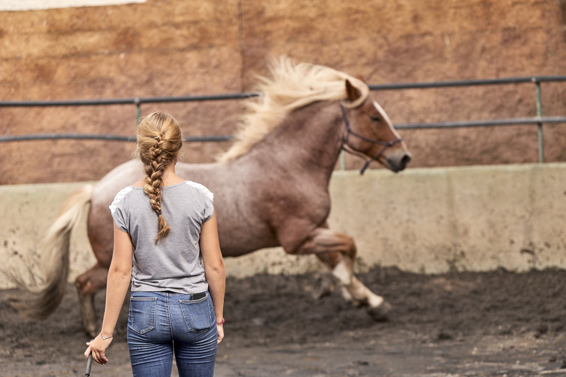 Vacaciones a caballo
